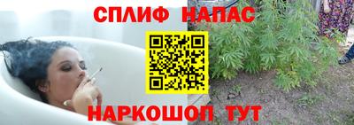 МДПВ Нарткала