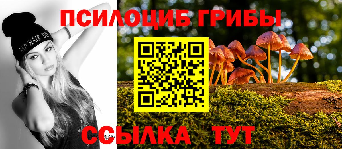 Псилоцибиновые грибы GOLDEN TEACHER Серпухов
